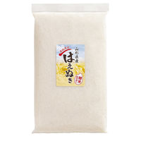 サニーフーズ ~精米仕立て~ 山形県産 はえぬき SB-932 1セット（直送品）