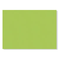大王製紙 色画用紙 四切 フレッシュカラー きみどり 1袋（10枚）