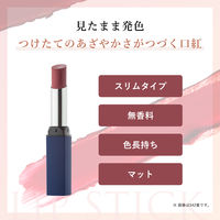 ちふれ化粧品 リップスティック Y 751 オレンジブラウン