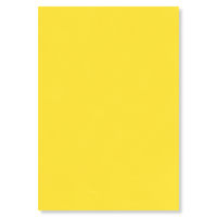 大王製紙 色画用紙 八切 フレッシュカラー レモン 1セット（50枚：10枚×5）