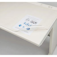 ライオン事務器 抗菌・抗ウイルス デスクマット No.106-SK 適用天板サイズ:W1000×D600mm 25395 1枚