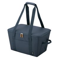 サーモス 保冷買い物カゴ用バッグ 25L ナイトグレー RFG-025 N-GY1セット（3個）