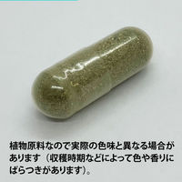 ECLECTIC（エクレクティック） オーガニックハーブサプリメント ネトル Ecoパック EC031 1セット(45カプセル入)（直送品）