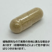 ECLECTIC（エクレクティック） オーガニックハーブサプリメント バードック Ecoパック EC281 1セット(45カプセル入)（直送品）