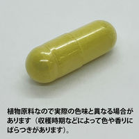 ECLECTIC（エクレクティック） オーガニックハーブサプリメント ネイザルサポート Ecoパック EC524（直送品）