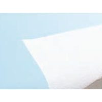 東京メディカル 食品シート 不織布シート 味噌漬・カス漬 300×300 00325041 1ケース(2000個(1個×2000))（直送品）