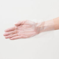 サンフラワー ポリ手袋 No.401 ポリエチグローブ(内エンボス)袋入 クリア L 1ケース(5000個(100個×50))（直送品）