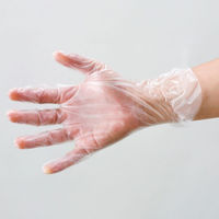 サンフラワー ポリ手袋 No.440 スーパーポリエチグローブ(内エンボス) クリア L 1ケース(4000個(100個×40))（直送品）