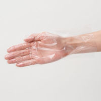 サンフラワー ポリ手袋 No.480 ポリエチLDグローブ クリア L 00340413 1ケース(10000個(500個×20))（直送品）