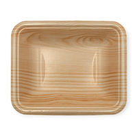 中央化学 発泡トレー CN 15-12F 木曽内 (L) 229989 1ケース(3000個(100個×30))（直送品）