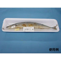 中央化学 発泡トレー CN33-10F 333823 1ケース(1400個(100個×14))（直送品）