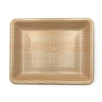 中央化学 発泡トレー CN 20-25FF 木曽内 694208 1ケース(900個(100個×9))（直送品）