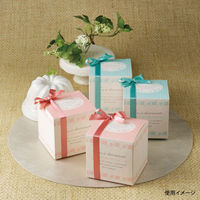 石渡 ギフト箱 ミルコ 85945 1ケース(40個)（直送品）