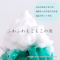 オカ プリスベイス ウィル シルキーウォッシュ Lサイズ グリーン 80663 1個