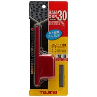 TJMデザイン サンダーSAー30型 荒目 SA-30A 1個（直送品）