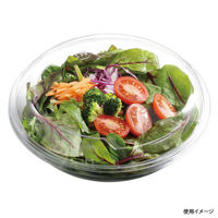 中央化学 惣菜容器 C-AP ボウル 190 身 385682 1袋(50個)（直送品）