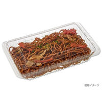 中央化学 フードパック 大浅 SE 272724 1袋(100個)（直送品）