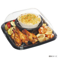 中央化学 オードブル容器 HS デリデコ K24-5 黒-BK 368084 1ケース(360個(20個×18))（直送品）