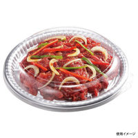 中央化学 刺身容器 PD プレート MD25 SV内 身 235952 1袋(25個)（直送品）