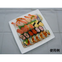 中央化学 軽食容器 CT 沙楽 K30-30 W 身 21873 1ケース(160個(20個×（直送品）