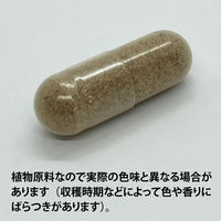 ECLECTIC（エクレクティック） オーガニックハーブサプリメント マリアアザミ E176 1セット(135カプセル入)（直送品）