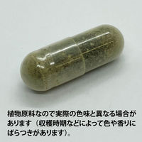 ECLECTIC（エクレクティック） オーガニックハーブサプリメント ブラダーラック E232 1セット(90カプセル入)（直送品）