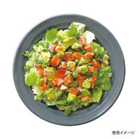 中央化学 軽食容器 CT 沙楽 M23 NGR-BK 身 11429 1袋(50個)（直送品）