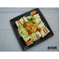 中央化学 軽食容器 CT 沙楽 K30-30 BK 身 22137 1ケース(160個(20個×（直送品）