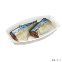 中央化学 鮮魚トレー 芝舟 101 白 11825 1袋(50個)（直送品）