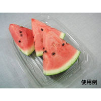 中央化学 惣菜容器 C-AP KFスライス 23-17 身 175414 1袋(50個)（直送品）