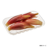 中央化学 透明トレー PP 14-8 25353 1袋(100個)（直送品）