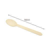 中央化学 使い捨てスプーン 木製スプーン 160 単袋入 透明 167940 1袋(100個)（直送品）