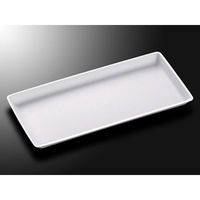 中央化学 発泡トレー FS-E5(LL) 130203 1ケース(800個(50個×16))（直送品）