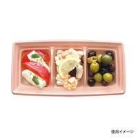 中央化学 軽食容器 CT 沙楽 KS24-12A NP-BK 身 12559 1ケース(800個(50個×16))（直送品）