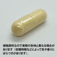 ECLECTIC（エクレクティック） オーガニックハーブサプリメント ショウガ E111 1セット(45カプセル入)（直送品）