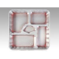 中央化学 仕出し弁当容器 DX 仕切 R-5-N 共付 22566 1ケース(240個(20個×12))（直送品）