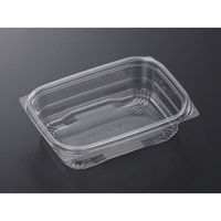 中央化学 惣菜容器 C-AP FVS 15-11A 本体 178517 1ケース(1000個(50個×20))（直送品）