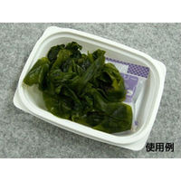 中央化学 惣菜容器 CT デリカン 15-11 身 115485 1袋(50個)（直送品）