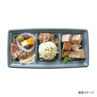 中央化学 軽食容器 CT 沙楽 KS24-12A NGR-BK 身 12500 1ケース(800個(50個×16))（直送品）