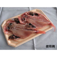 中央化学 鮮魚トレー CI 25-16 木曽 75390 1袋(50個)（直送品）