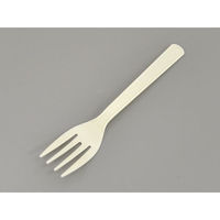 中央化学 使い捨てカトラリー FDフォーク 160 単袋入 642959 1袋(100個)（直送品）