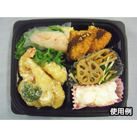 中央化学 惣菜容器 CT デリカン 18-15 三ッ仕切BLT 162107 1ケース(800個(50個×（直送品）