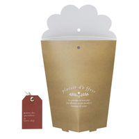 石渡 ギフト箱 カミノ(タグ付き) 120761 1ケース(20個)（直送品）