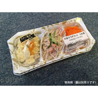 中央化学 軽食容器 CT ゆう 22-11T アリアG 身 603019 1ケース(1200個(50個（直送品）