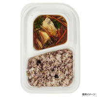 中央化学 カレー容器 CT キャリー K28-18 W 身 5785 1袋(50個)（直送品）