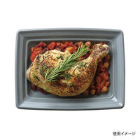 中央化学 軽食容器 CT 沙楽 K20-15 NGR-BK 身 12096 1袋(50個)（直送品）