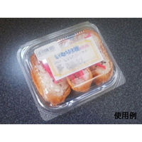 中央化学 フードパック パノラックV 13-11 37416 1袋(50個)（直送品）