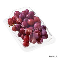 中央化学 フードパック C-APG SDL-3 587535 1袋(50個)（直送品）