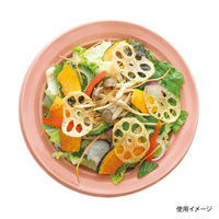 中央化学 軽食容器 CT 沙楽 M23 NP-BK 身 11478 1ケース(400個(50個×8))（直送品）