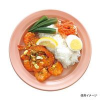 中央化学 軽食容器 CT 沙楽 M24 NP-BK 身 11635 1ケース(400個(50個×（直送品）